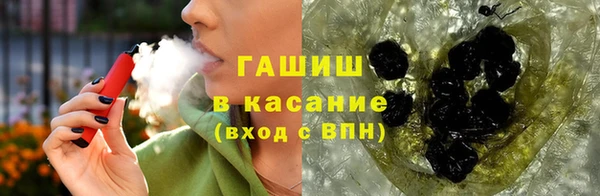 стаф Алзамай