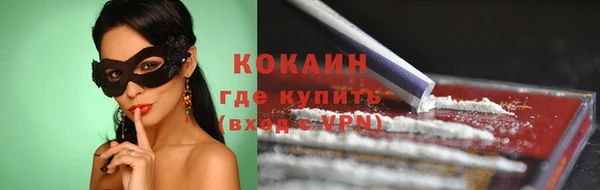 стаф Алзамай