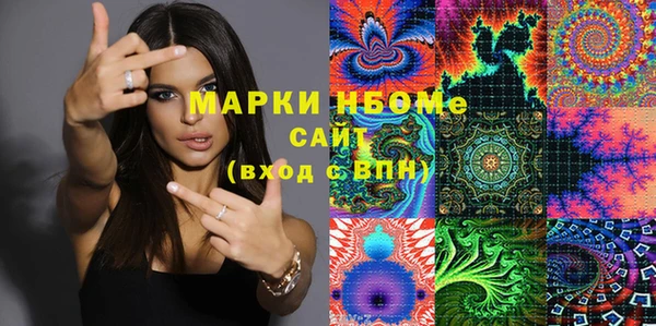 стаф Алзамай