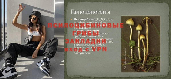стаф Алзамай