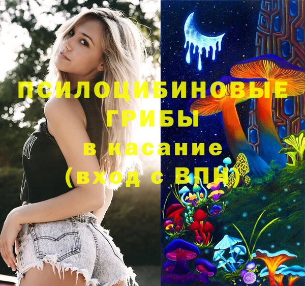 прущие крисы Алексеевка