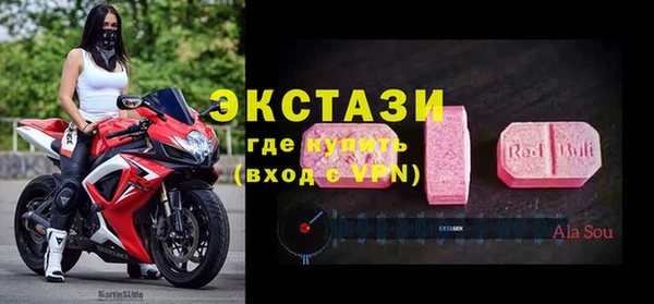 стаф Алзамай